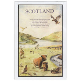 Highland Scene Tea Towel