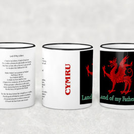 Welsh CMYRU Mug