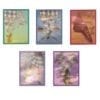 Assorted Highland Dancer - Note Cards