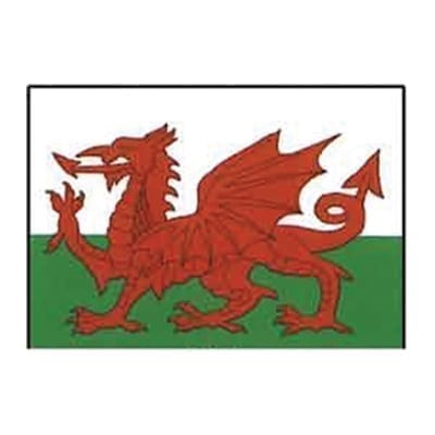 Welsh Dragon